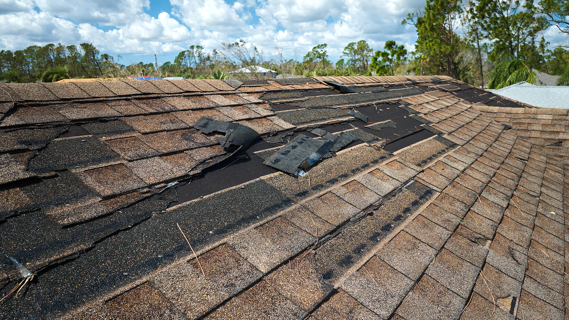 Storm-damaged asphalt roof with missing and lifted shingles in Parry Sound