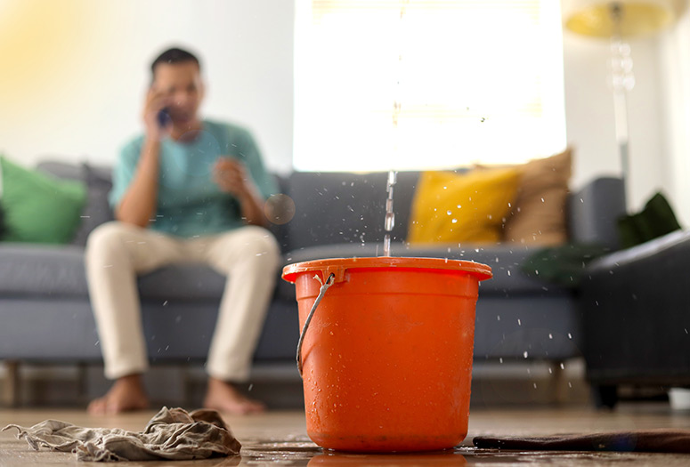 Homeowner calling for help as a bucket catches water from a leaking ceiling